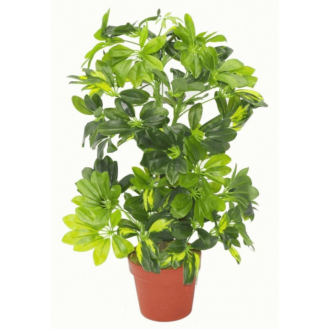 75cm Artificial Arboricola Gold Capella Plant Gold Metal Planter