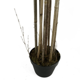 180cm (6ft) Artificial Bamboo Plants – XL Natural Green Trees for Home Decor