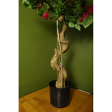 Artificial Pink Japanese Silk Blossom Tree, 150cm – Bougainvillea with Twisted Trunk & Wired Stems