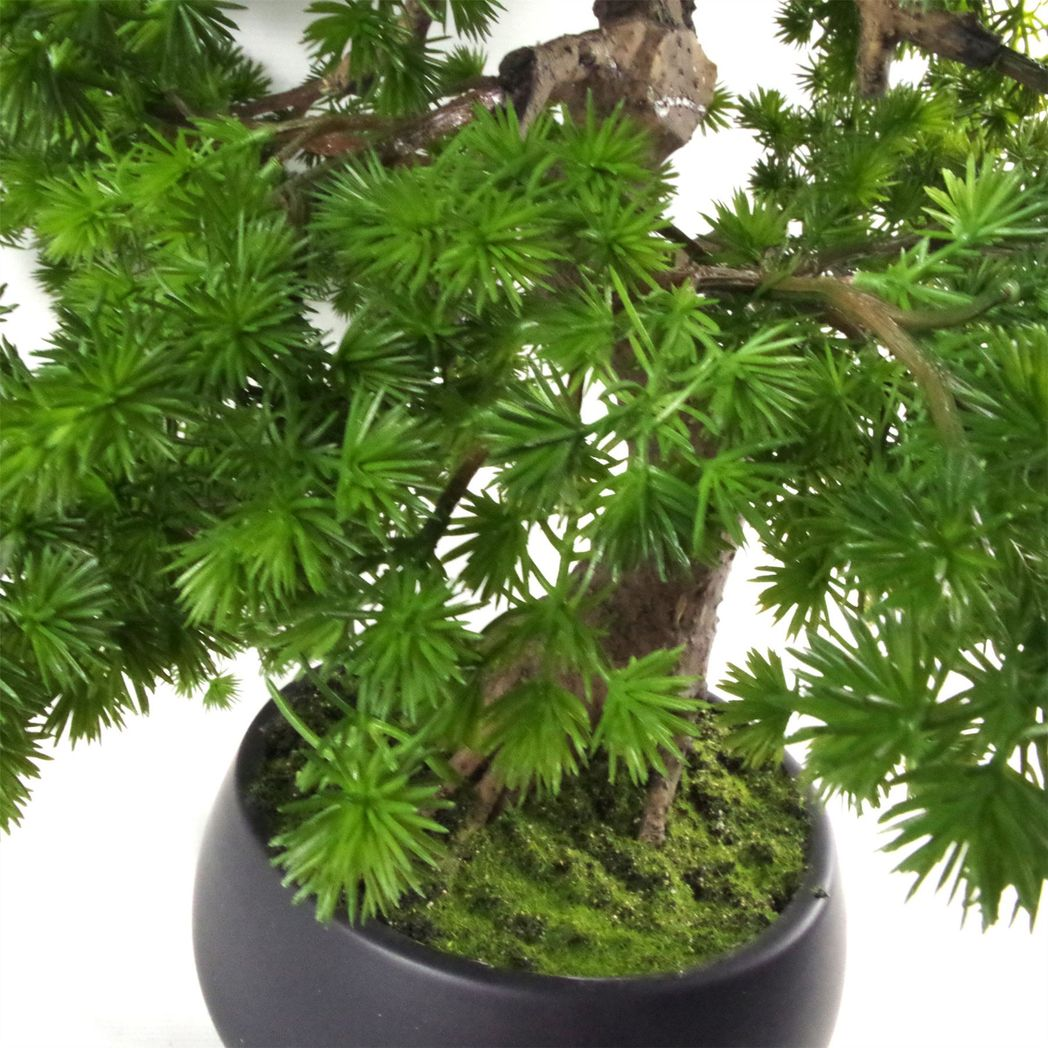 Artificial Luxury Pine Bonsai Tree, 50cm in Black Ceramic Bowl Planter – Low-Maintenance Moss Effect Base