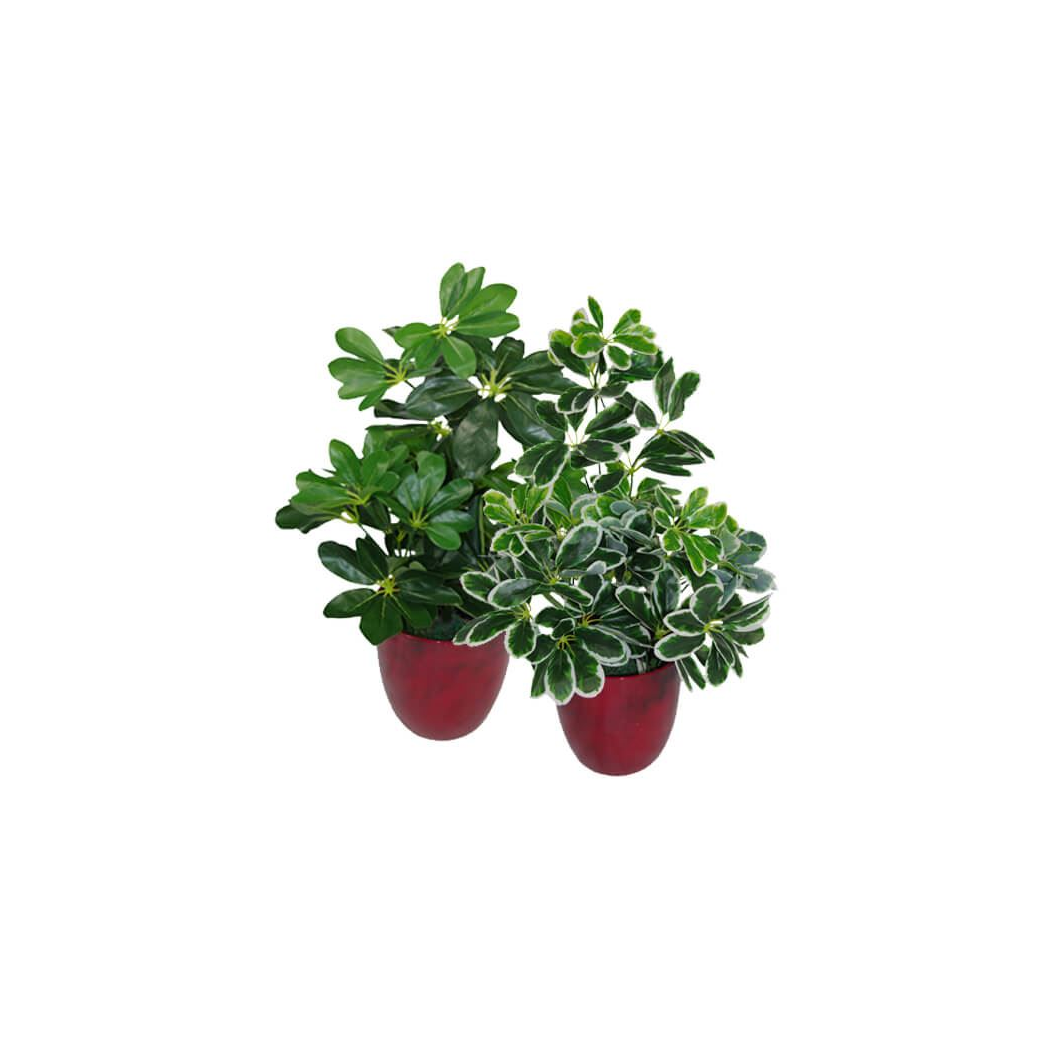 Leaf 55cm Artificial Umbrella Plant with 450 Wired Leaves in Black Pot – Realistic Faux Foliage, Dark Green