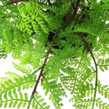 Leaf 30cm Artificial Potted Lady Fern (Athyrium Filix-Femina) – Realistic Botanical Fern Plant