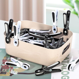VINSANI 48 Pack Laundry Clothes Pegs – Durable UVA/UVB Resistant Clothespins for Indoor & Outdoor Use