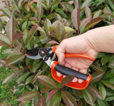 Avilo Garden Pruner – Handy Cutting Tool for Everyday Gardening