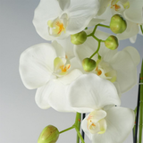 Giant White Artificial Orchid Plant, 150cm with 189 Real Touch Flowers – Wired Stems, Potted