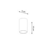 Lagos Modern Steel Ceiling Light, GU10