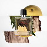 Hermes Terre D'hermes Eau de Toilette Spray 100ml – Woody, Spicy Fragrance for Men