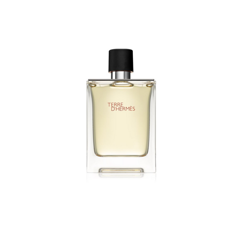 Hermes Terre D'hermes Eau de Toilette Spray 100ml – Woody, Spicy Fragrance for Men