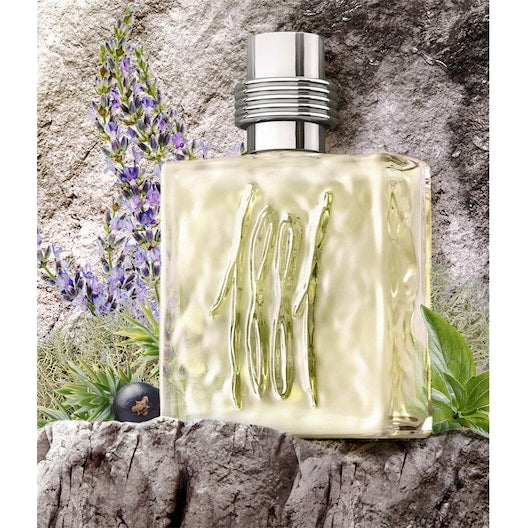 Cerruti 1881 Pour Homme Eau de Toilette Spray 25ml – Woody, Fresh & Citrus Fragrance for Men