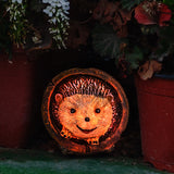 Avilo Hedgehog Solar Light – Detailed Garden Ornament with Built-In Solar Panel