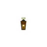 Noirish Onyx Eau de Parfum 100ml – Fresh & Citrus, Spicy Fragrance, Unisex