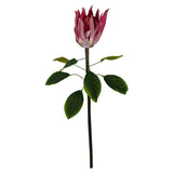Leaf Protea Sugarbush Artificial Flower Stem with Silk Petals and Wired Stem – 65cm Home Decor, Pink