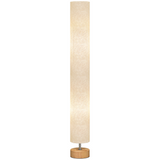 HOMCOM LED Floor Lamp with 3000K/4500K/6500K Colour Temperatures, Grey