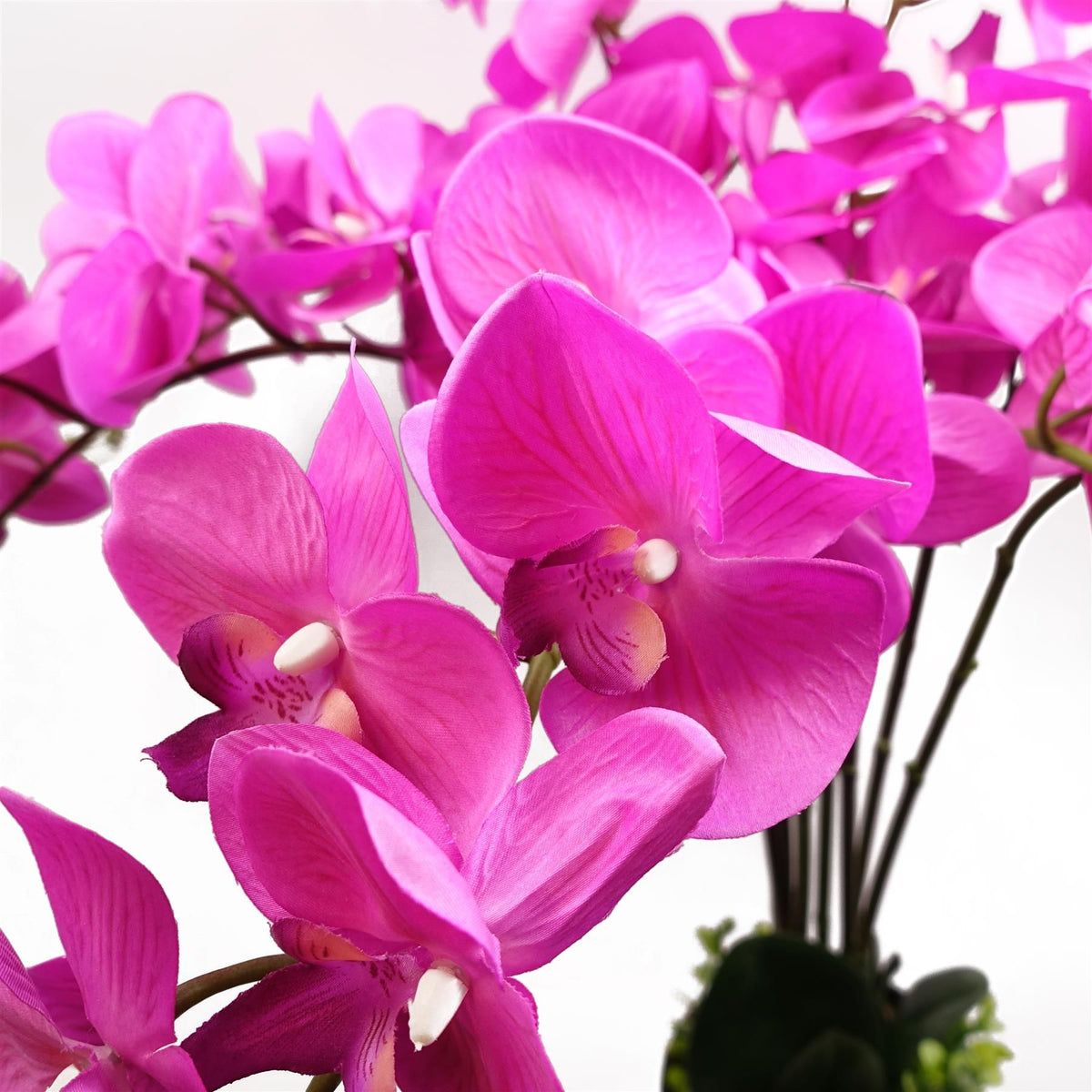 Leaf 85cm Artificial Deluxe Bush Orchid with 56 Flowers – Large Table Decoration, Dark Pink, Black Pot