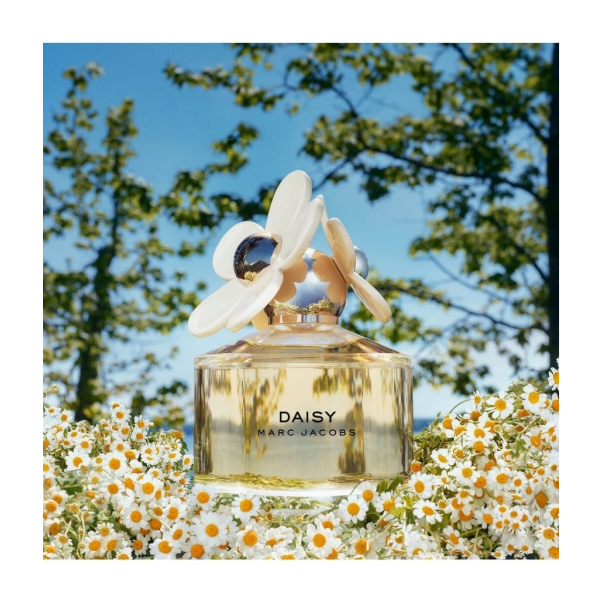 Marc Jacobs Daisy Eau de Toilette Spray 30ml – Floral, Fresh & Citrus Fragrance for Women