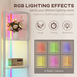 5-Tier Shelf RGB Floor Lamp with Remote