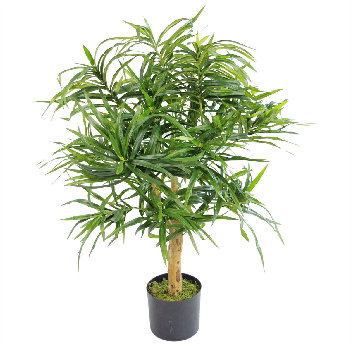 100cm Artificial Dracaena Plant Tree with Pot – Premium Range