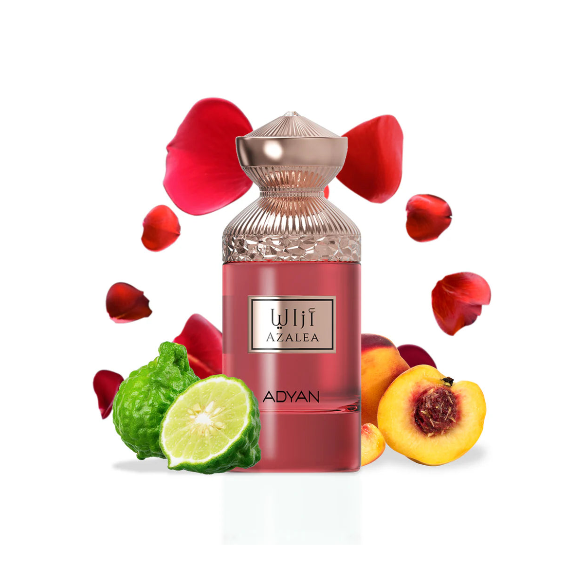 Adyan Azalea: Secret Garden - Extrait de Parfum 100ml – Floral, Oud Fragrance, Unisex