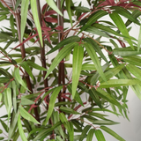 Leaf 180cm Artificial Bamboo Plant with Red and Green Silk Leaves – Realistic Potted Faux Plant