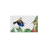 Garden Habitats Anti-Bird Garden Netting, 2m x 10m Rolls, Pack of 10 – Fine Mesh Plant, Pond & Crop Protection