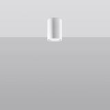 Lagos Modern Steel Ceiling Light, GU10