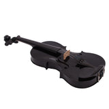 4/4 Full Size Acoustic Violin Set with Case, Bow & Rosin – Beginner Violin Outfit for Adults, Black