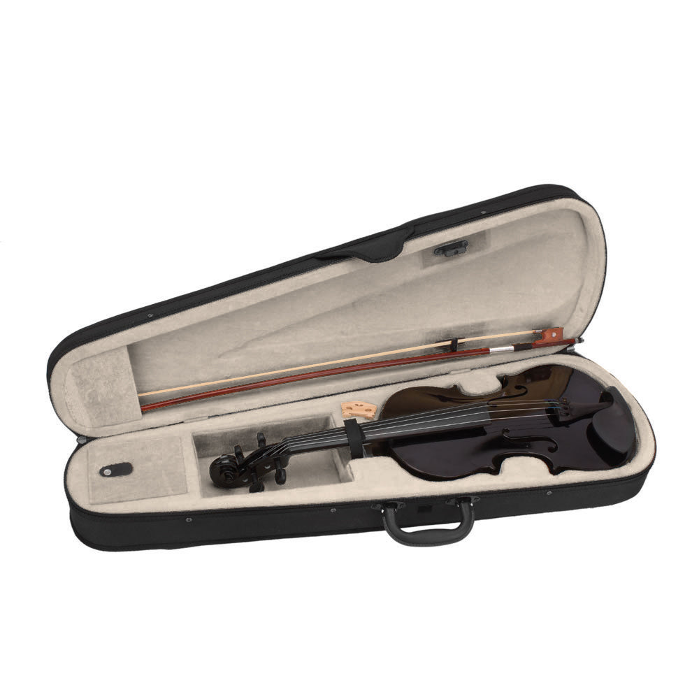 4/4 Full Size Acoustic Violin Set with Case, Bow & Rosin – Beginner Violin Outfit for Adults, Black