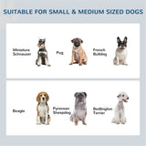 Raised Pet Feeder with Stainless Steel Double Dog Bowls – Elevated Food and Water Stand, White