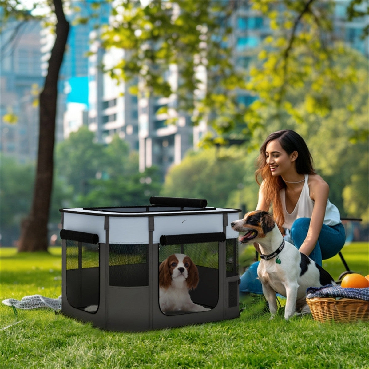 Foldable Pet Playpen with Mesh Windows & Doors for Small Animals – Indoor and Outdoor Use, Grey and Blue