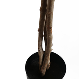 Leaf 120cm Artificial Forsythia Tree with Yellow Silk Flowers and Natural Wood Trunk – Home Decor Plant