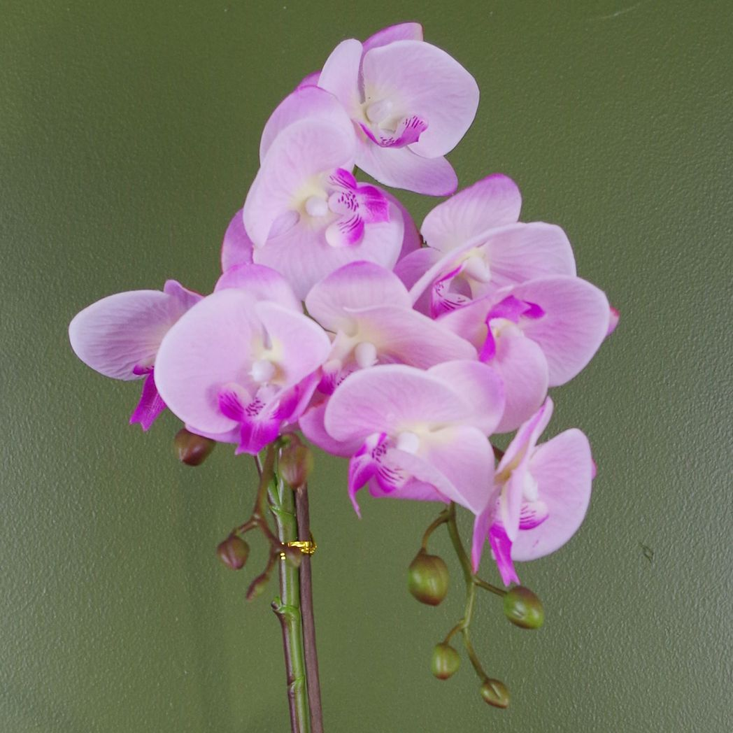 Artificial Phalaenopsis Orchid, 50cm Light Pink with 9 Real Touch Flowers – Silver Honeycomb Pot