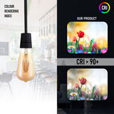 Ledsone 10 Pack ST64 Vintage Edison LED Bulbs, 6W E27 – Dimmable Amber Glass, Warm White 2700K