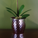 Artificial Phalaenopsis Orchid, 50cm Light Pink with 9 Real Touch Flowers – Silver Honeycomb Pot
