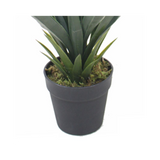 60cm Artificial Agave Succulent – Yucca Style Plant for Home Decor, Green
