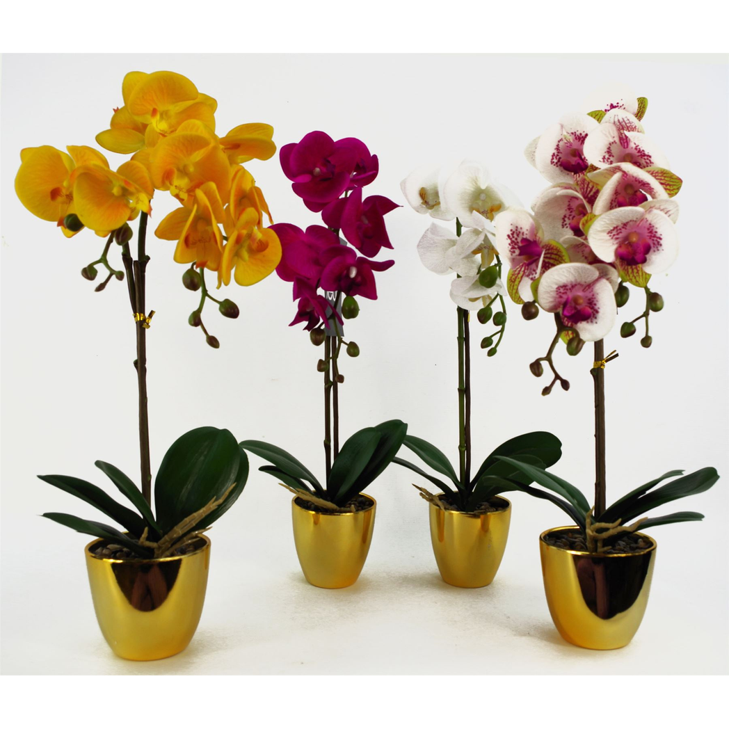 Leaf 46cm Artificial Orchid with 6 Real Touch Flowers – White in Gold Decorative Pot