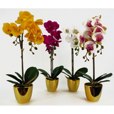 Leaf 46cm Artificial Orchid with 6 Real Touch Flowers – White in Gold Decorative Pot