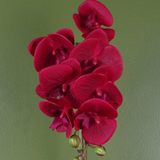 Leaf Artificial Orchid with Real Touch Flowers & Silver Pot – 46cm Realistic Faux Plant, Red