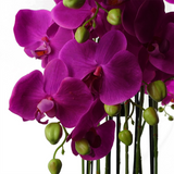 150cm Giant Artificial Purple Orchid – 189 Real Touch Flowers