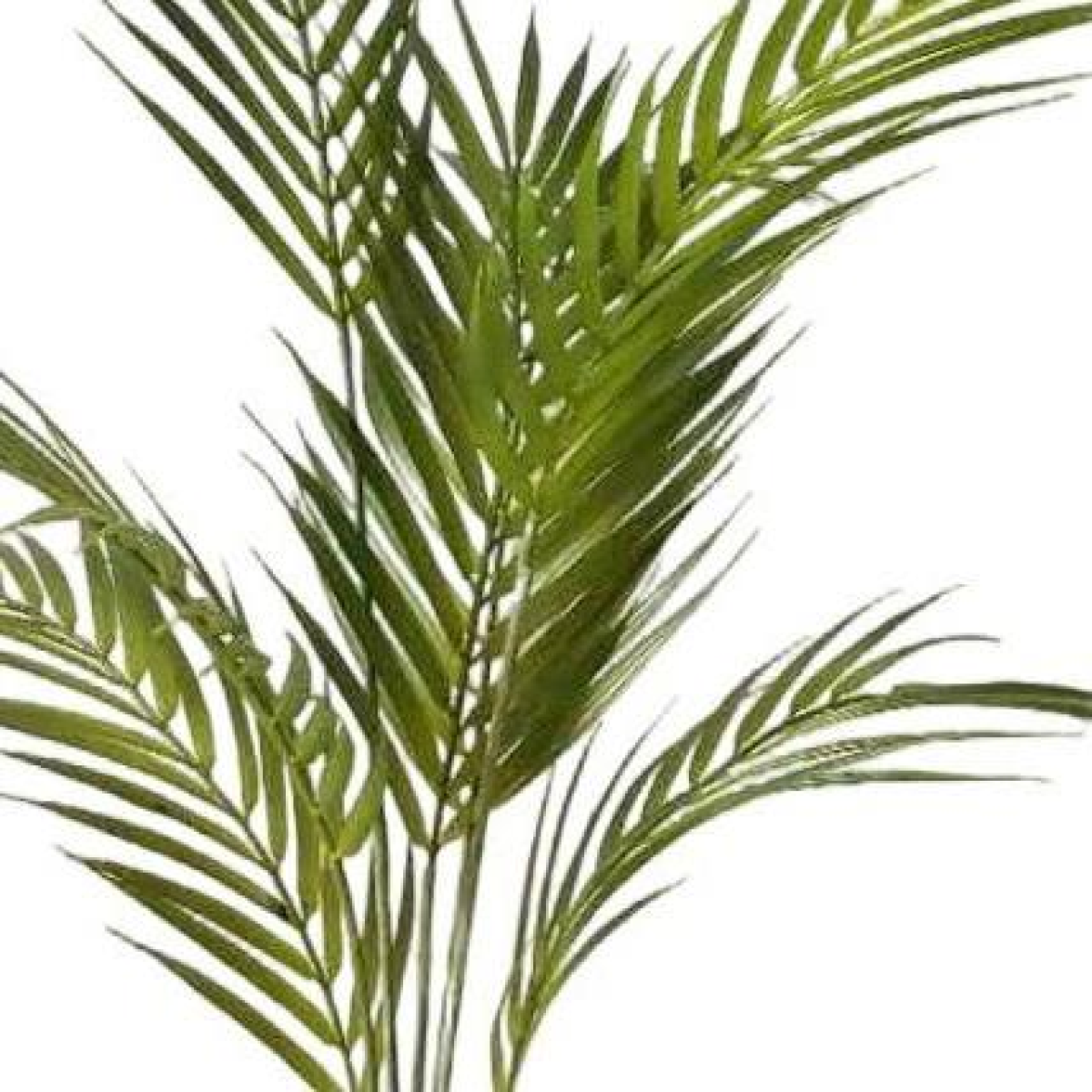 Artificial Areca Palm Tree, 70cm in Black Pot – Low-Maintenance Tropical Greenery for Home & Office