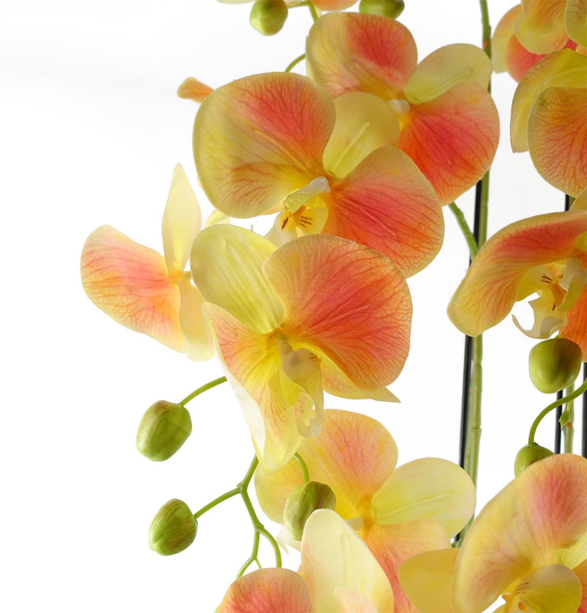 Leaf 110cm Large Artificial Yellow Peach Orchid with 41 Real Touch Flowers – Wired Stems, Weighted Pot
