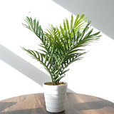 Leaf Pack of 6 Artificial Mini Palm Trees, 50cm – Realistic Potted Faux Plants for Desks & Shelves