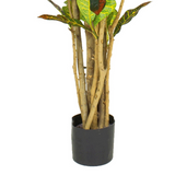 Leaf 150cm Artificial Croton Tree with Wired Stems – Realistic Multicoloured Tropical Plant in Black Pot