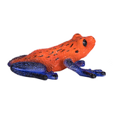 MojoFun Poison Dart Tree Frog Toy Figurine – Realistic Rainforest Amphibian