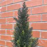 Artificial Natural Look Cedar Topiary Tree, 120cm – Wired Stems, Two-Part Easy Assembly