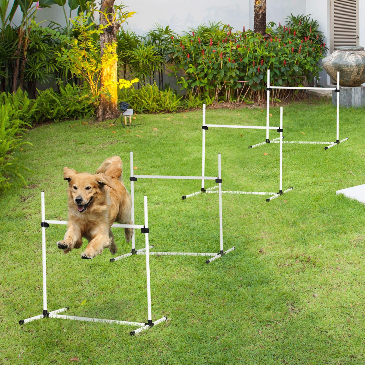 Pawhut Dog Agility Set with Adjustable Jumps and Carrying Case – Free-Standing Training Obstacle Course