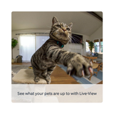 Ring Pan-Tilt Indoor Security Camera with HD Live View & Two-Way Talk – Plug-In Smart Home Camera, Black