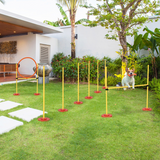 PAWHUT Portable Dog Agility Set with High Jump, Jumping Ring and Weave Poles – Pet Obstacle Course