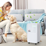 HOMCOM Portable Dehumidifier 12L/Day with 2000ml Tank – Quiet Damp Control for Home & Laundry Room
