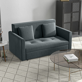 HOMCOM 2 Seater Sofa Bed with Hidden Storage & 2 Cushions – Convertible Loveseat for Guests & Small Homes