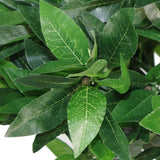 Artificial Topiary Bay Laurel Ball Tree with Plain Natural Trunk, 120cm (4ft) – Potted Entrance Plant